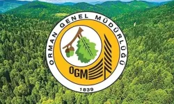 OGM 3477 Destek Personeli ve 150 Orman Mühendisi Alımı Yapacak