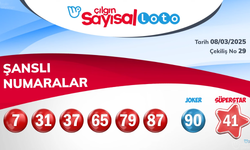 08 Mart 2025 Sayısal Loto Sonuçları